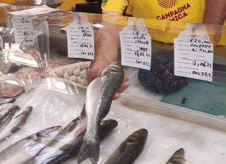 Coldiretti Puglia, con temperature bollenti aumenta consumo pesce +20%