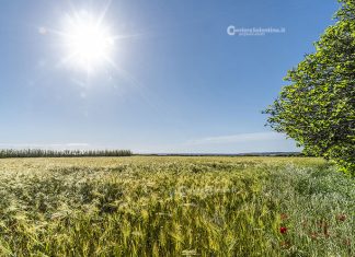 Agricoltura smart, una famiglia su tre senza internet veloce in aree rurali e interne