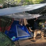 Controlli a tappeto a Gallipoli e blitz nella pineta: scattano arresti e denunce - Corriere Salentino