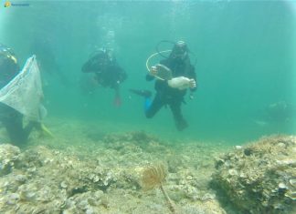 Sub uniti per Torre Guaceto: l’impegno per la pulizia dei fondali