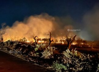 Incendi: Coldiretti, la provincia di Lecce la più colpita nell’estate 2022