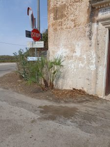 La lotta dei residenti contro il degrado della chiesetta di Valle della Cupa: privati costretti a rimuovere montagne di rifiuti abbandonati e a tagliare rovi ed erbacce - Corriere Salentino