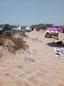 Torre Chianca, l’allarme del consigliere Greco: “Il bacino Idume sfregiato” - Corriere Salentino