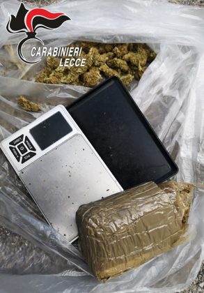 Blitz nel campo Panareo: spunta droga ed una piantagione di canapa indiana. Scatta sequestro - Corriere Salentino