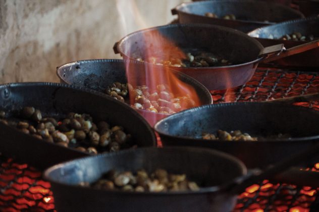 Festa della Municeddha, tutto pronto per il grande ritorno   - Corriere Salentino