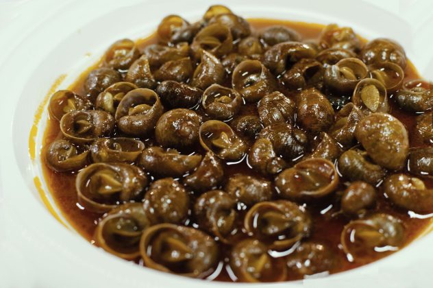 Torna la Municeddha più famosa d’Italia e si accende la Festa - Corriere Salentino