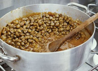 Festa della Municeddha 2024, una notte stellare di tradizioni e divertimento sotto il cielo di San Lorenzo