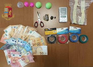 Il fiuto dei cani poliziotto scova l’hashish nascosto in casa: un arresto e una denuncia