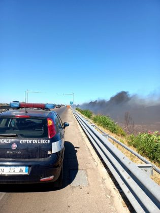 Emergenza incendi: vasto rogo in pineta, arriva il fireboss. Fuoco minaccia aziende nella zona industriale - Corriere Salentino