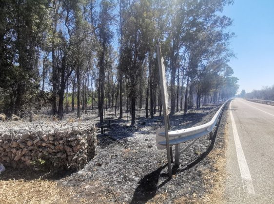 Appicca l'incendio nel bosco, ma le telecamere lo incastrano: arrestato operatore della protezione civile - Corriere Salentino