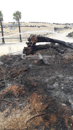 Fiamme in località Burgesi e scatta l'allarme: il rogo raggiunge la discarica, ma viene spento in tempo - Corriere Salentino