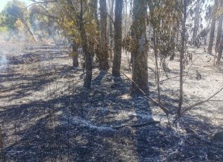 Salento ai primi posti per consumo di suolo. La desertificazione dal 3,3% del 2000 al 19,3% del 2022. Giornata della Terra, conferenza d’Italia Nostra