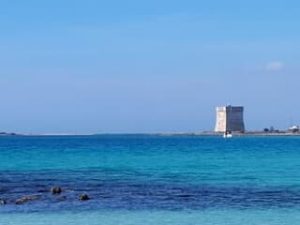 Una nuotata in acque libere a “Stella Maris” con Abbracciamoli. Appuntamento a scopo benefico per vivere un sabato super - Corriere Salentino