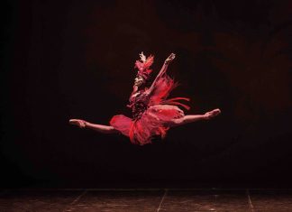 Dolmen Festival a Cocumola. Domani “L’Uccello di Fuoco” del Balletto del Sud, innovazione del racconto in una versione da fumetto