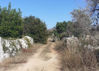 Confagricoltura: siccità, alla Puglia serve approvazione dell’emendamento “La Salandra”