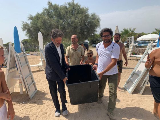 Progetto Mysea, liberazione Caretta caretta con trasmettitore satellitare a Frigole - Corriere Salentino