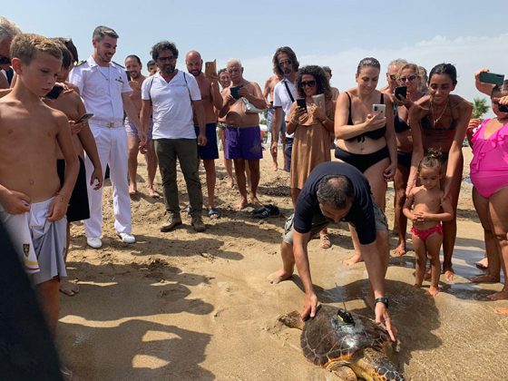 Progetto Mysea, liberazione Caretta caretta con trasmettitore satellitare a Frigole - Corriere Salentino
