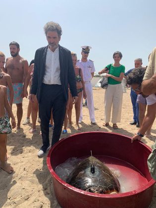 Progetto Mysea, liberazione Caretta caretta con trasmettitore satellitare a Frigole - Corriere Salentino