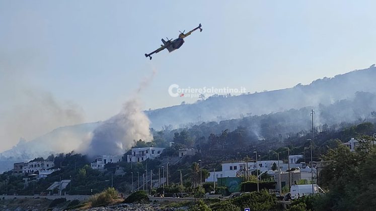 Inferno di fuoco nel Basso Salento: fiamme raggiungono il parco. Evacuate abitazioni, intervengono canadair - Corriere Salentino