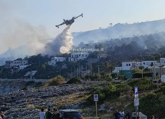 Inferno di fuoco nel Basso Salento: fiamme raggiungono il parco. Evacuate abitazioni, intervengono canadair