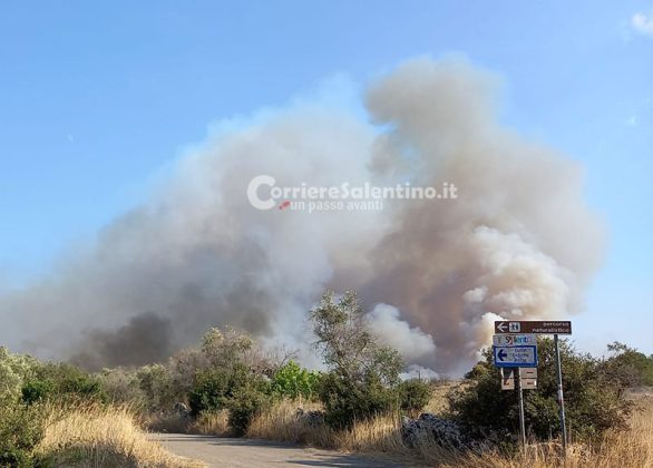 Inferno di fuoco nel Basso Salento: fiamme raggiungono il parco. Evacuate abitazioni, intervengono canadair - Corriere Salentino