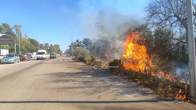 Emergenza incendi: vasto rogo in pineta, arriva il fireboss. Fuoco minaccia aziende nella zona industriale - Corriere Salentino