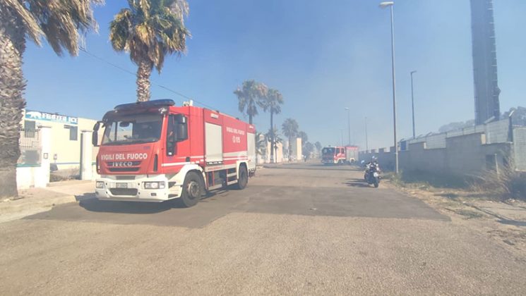 Emergenza incendi: vasto rogo in pineta, arriva il fireboss. Fuoco minaccia aziende nella zona industriale - Corriere Salentino