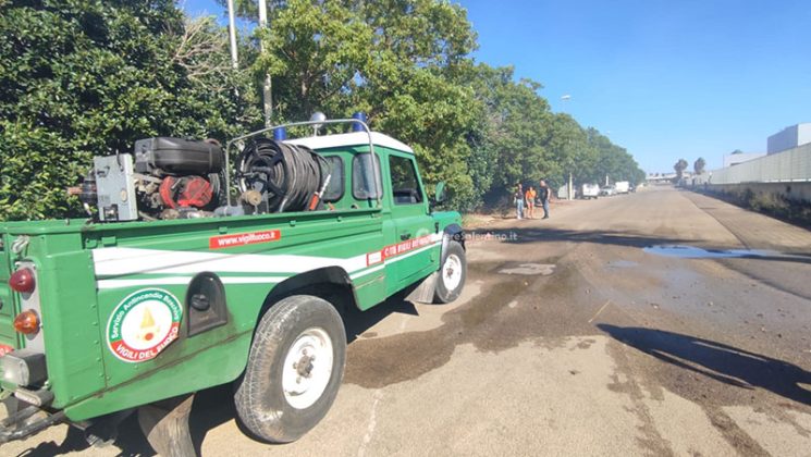 Emergenza incendi: vasto rogo in pineta, arriva il fireboss. Fuoco minaccia aziende nella zona industriale - Corriere Salentino