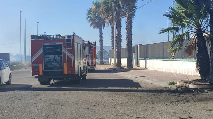 Emergenza incendi: vasto rogo in pineta, arriva il fireboss. Fuoco minaccia aziende nella zona industriale - Corriere Salentino