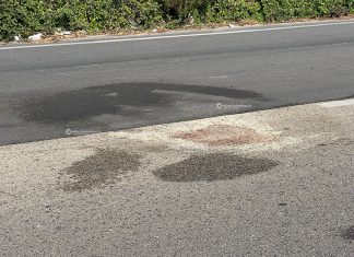 Violento impatto tra auto e bici: muore sul colpo anziano ciclista