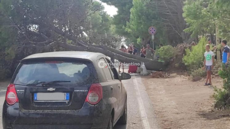 Forte tromba d'aria sul litorale adriatico: alberi e cartelli sradicati. Un palo cade su un'auto - Corriere Salentino