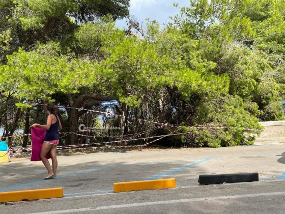 Forte tromba d'aria sul litorale adriatico: alberi e cartelli sradicati. Un palo cade su un'auto - Corriere Salentino