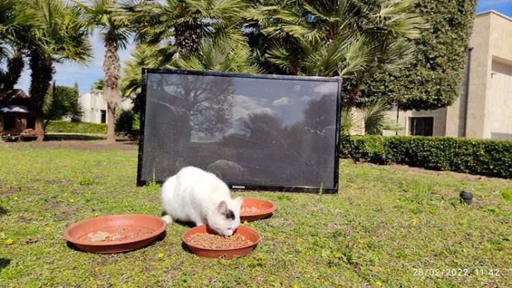 Avviata la raccolta differenziata nel cimitero di Lecce - Corriere Salentino
