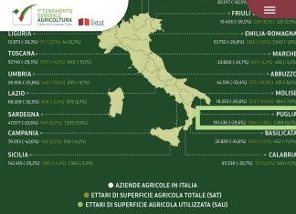 Agricoltura, in 10 anni la Puglia ha perso un terzo delle sue aziende