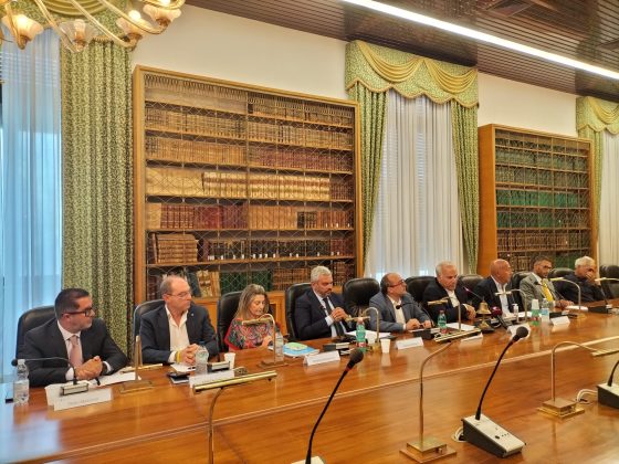 Caro bollette: in campo “le energie del Salento” 500.000 euro per le imprese salentine - Corriere Salentino