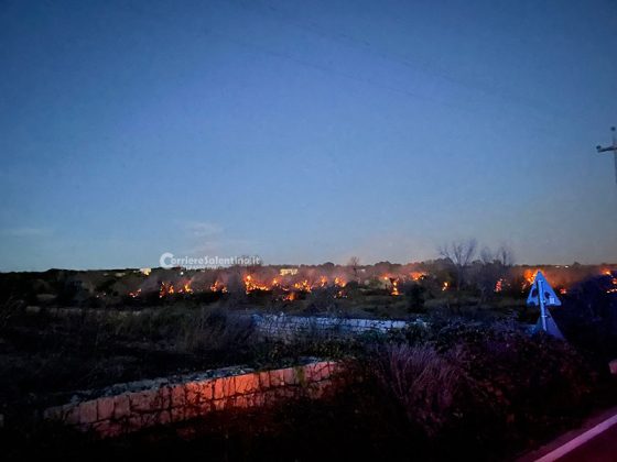 Rogo nel basso Salento, le fiamme "divorano" quattro ettari tra pineta e uliveto - Corriere Salentino