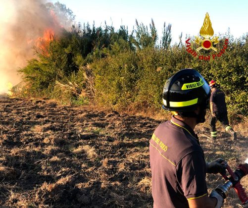 Fiamme sul litorale Adriatico, in azione anche un Canadair: in fumo 67 ettari di macchia mediterranea, boschi e canneti - Corriere Salentino
