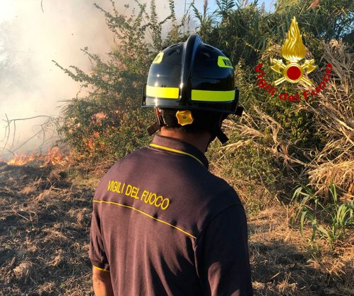 Fiamme sul litorale Adriatico, in azione anche un Canadair: in fumo 67 ettari di macchia mediterranea, boschi e canneti - Corriere Salentino