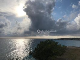 il pirocumulonembo, quando l’incendio genera il temporale. ecco quali sono gli effetti Notizie dall'Italia e dal mondo - Corriere Salentino