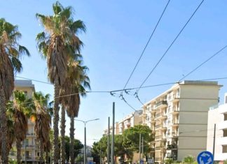 Il Coordinamento per gli Alberi e il Verde Urbano in presidio per bloccare “l’abbattimento indiscriminato di alberi”