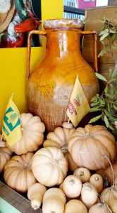 Halloween: Coldiretti Puglia, -15% la raccolta delle zucche con clima pazzo - Corriere Salentino