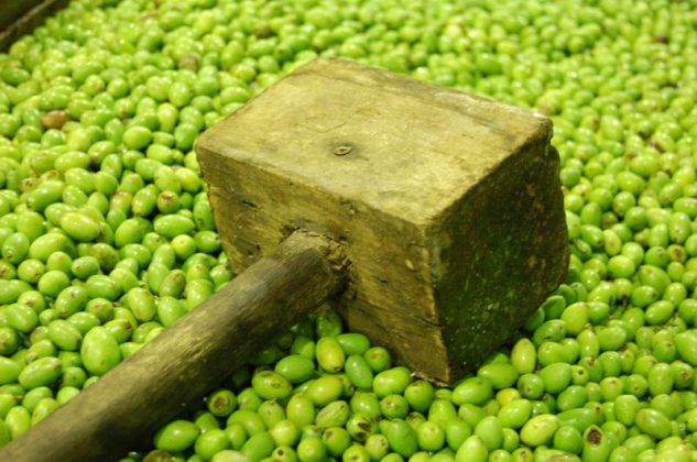 Tutto pronto a Martano: torna la grande sagra dell’autunno salentino la XXXI Sagra de la Volìa Cazzata - Corriere Salentino