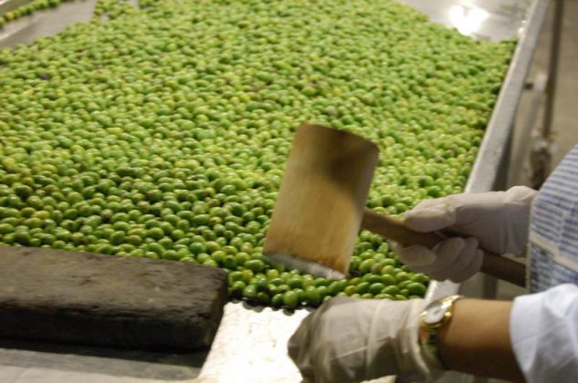 Tutto pronto a Martano: torna la grande sagra dell’autunno salentino la XXXI Sagra de la Volìa Cazzata - Corriere Salentino