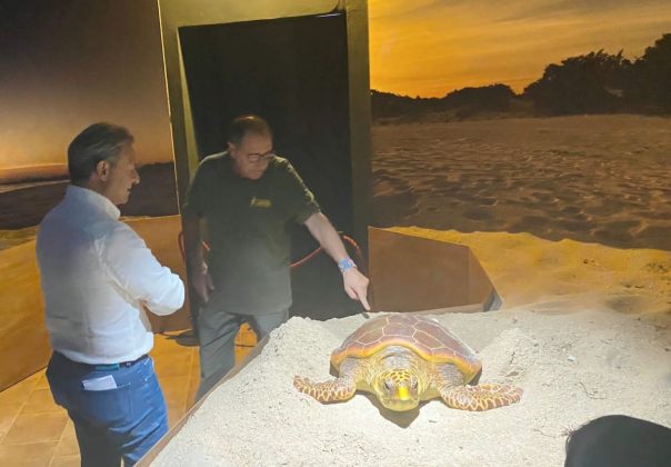 Centri faunistici Museo di storia naturale Calimera, interrogazione Pagliaro: “Fondi subito per garantirne operatività” - Corriere Salentino