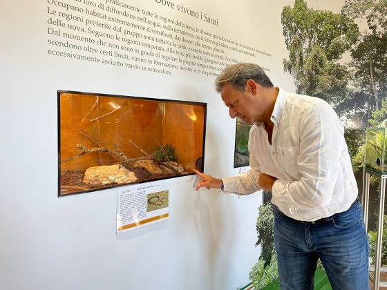 Centri faunistici Museo di storia naturale Calimera, interrogazione Pagliaro: “Fondi subito per garantirne operatività” - Corriere Salentino