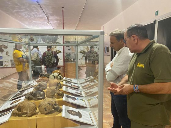 Centri faunistici Museo di storia naturale Calimera, interrogazione Pagliaro: “Fondi subito per garantirne operatività” - Corriere Salentino