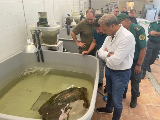 Centri faunistici Museo di storia naturale Calimera, interrogazione Pagliaro: “Fondi subito per garantirne operatività” - Corriere Salentino