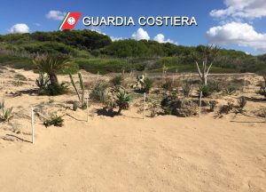 Giardino botanico creato frantumando scogli e rocce: scatta il sequestro in riva al mare - Corriere Salentino