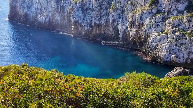 Alla scoperta del Salento: Guardiola di Corsano - Corriere Salentino