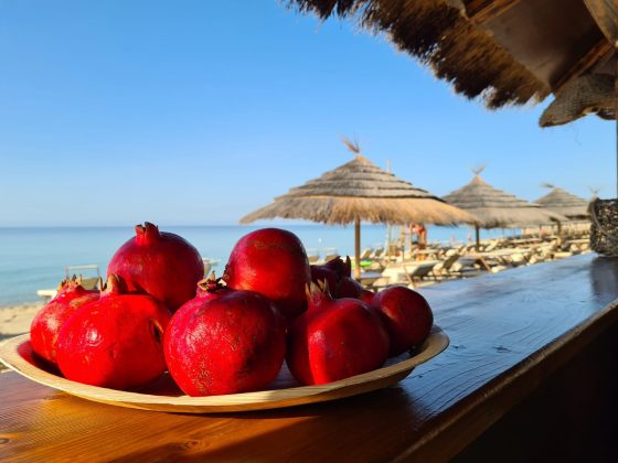 Il Togo Bay raddoppia contro la lotta ai tumori: domani in spiaggia e in piazza a Veglie melagrane per la ricerca - Corriere Salentino